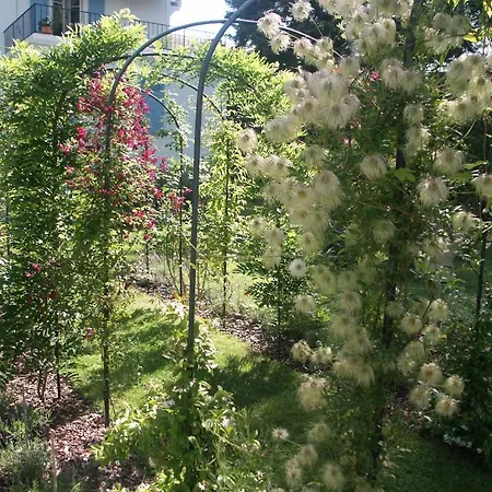 Bed & Breakfast Sanluca Nyon