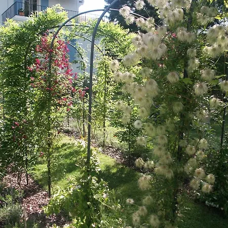 Bed & Breakfast Sanluca Nyon